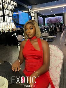 FAQ escorts Guinée